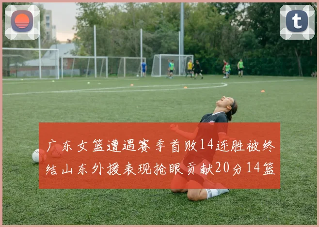 广东女篮遭遇赛季首败14连胜被终结山东外援表现抢眼贡献20分14篮板5助攻
